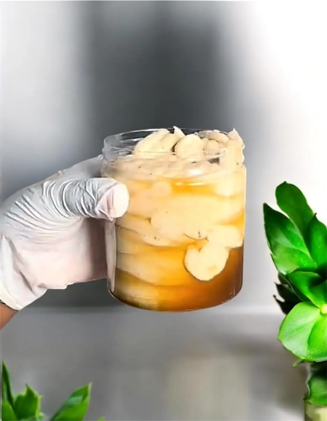 7 Days Results Big Butt and Hips Cream 100% Natural Ingredients and African Herbs for Breast and Butt Enhancement Hand Made (8 OUNCES)