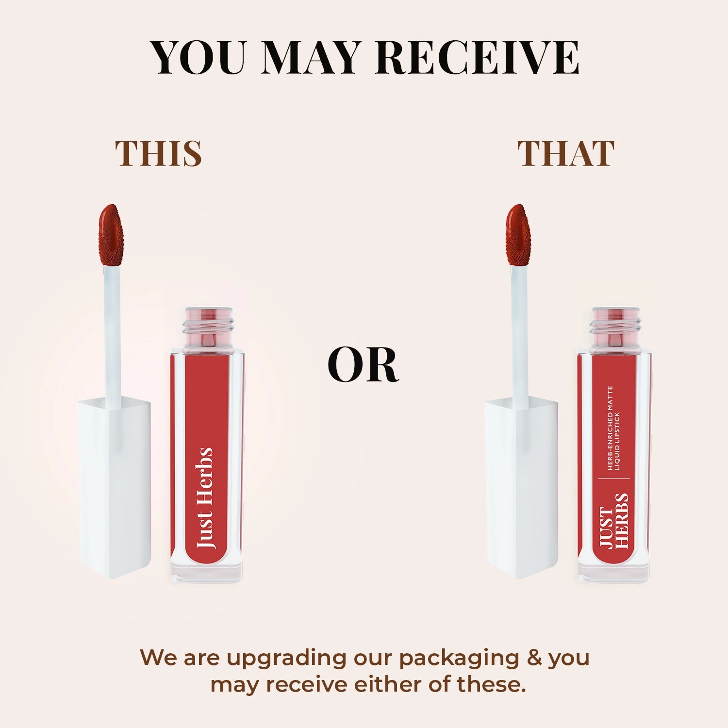 Combo Pack of 2: Herb-enriched Matte Liquid Lipstick - Plum Rose