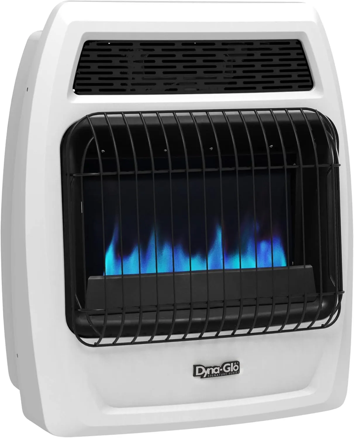 Dyna-Glo Signature Series 20,000 BTU Liquid Propane Blue Flame Thermostatic Vent Free Wall Heater
