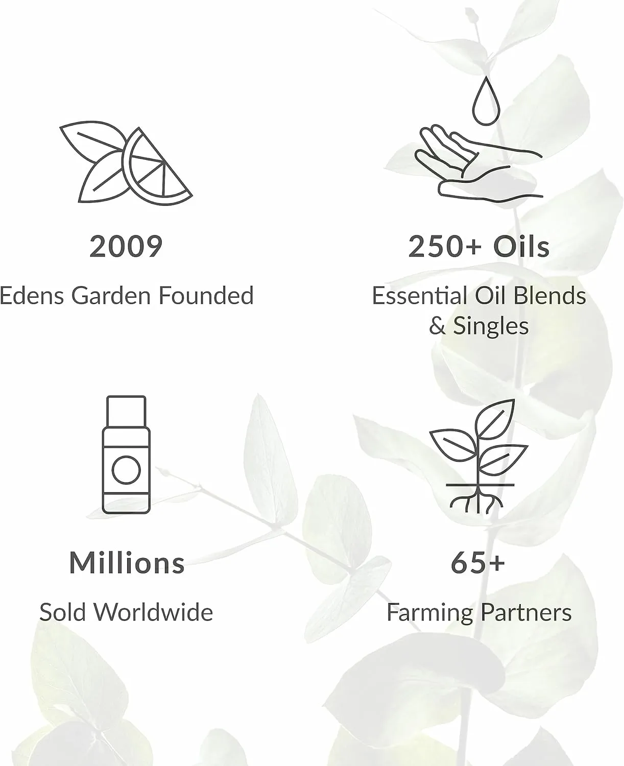 Edens Garden Cellulite Essential Oil Blend- 100% Pure Premium Grade, Undiluted, Natural, Therapeutic, Aromatherapy, The Best for Diffusing, Skin, Face, Humidifiers 10 ml (.33 fl oz)