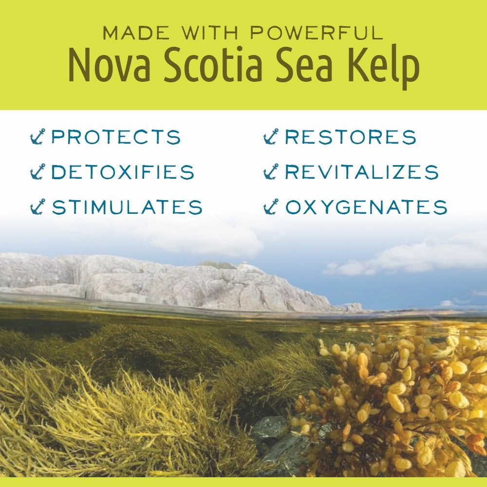 Hand and Body Cream, Naturally Moisturizing, Vegan Friendly, with Nova Scotia Sea Kelp, No Artificial Ingredients, Plant-Based Body Care (Seabuckthorn and Shea, 3.4 oz.)