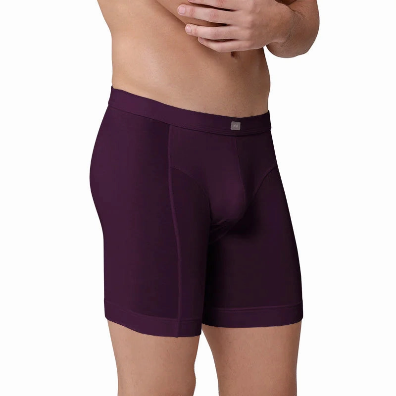 Men's Thin Underwear Modal Flat Angle Lengthening Sports