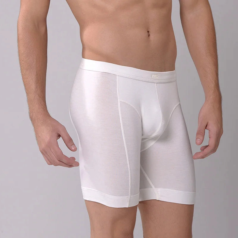 Men's Thin Underwear Modal Flat Angle Lengthening Sports