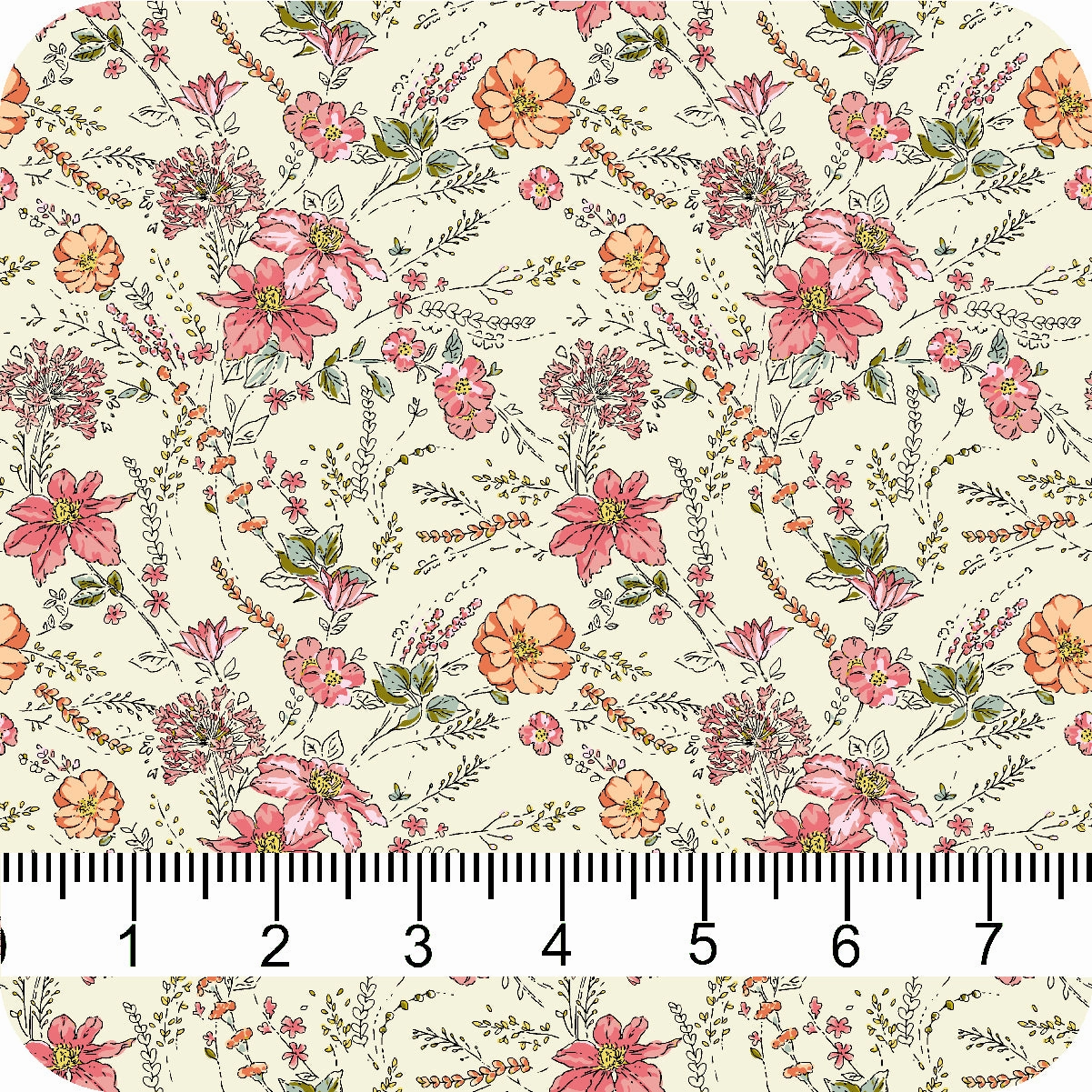 MYP222 C3 CREAM-BLUSH