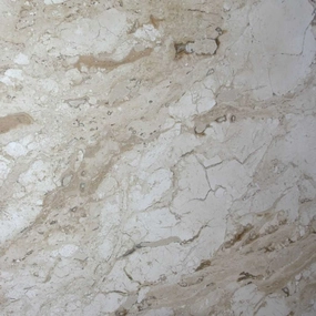 PINE TREE Travertine Polished Slab