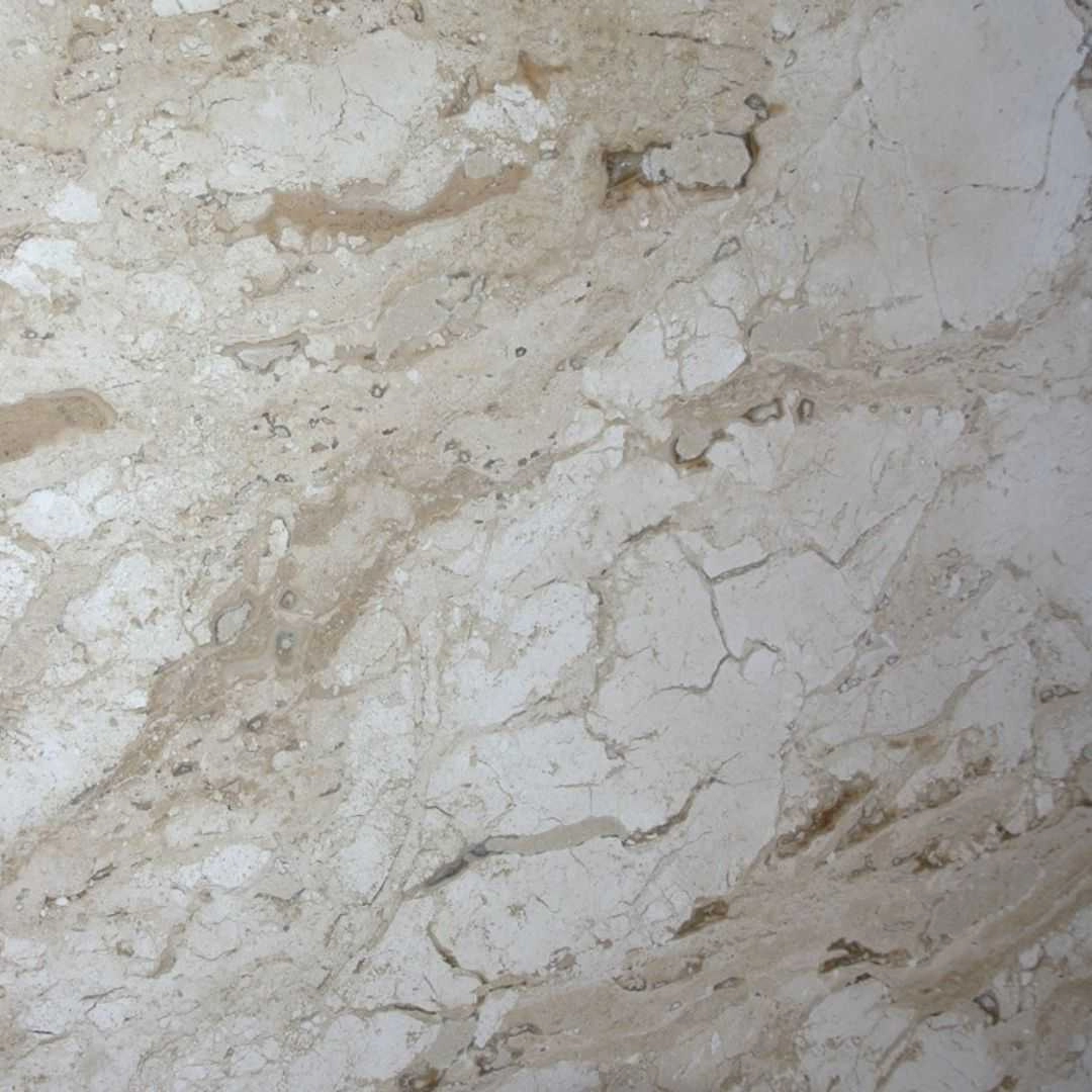 PINE TREE Travertine Polished Slab