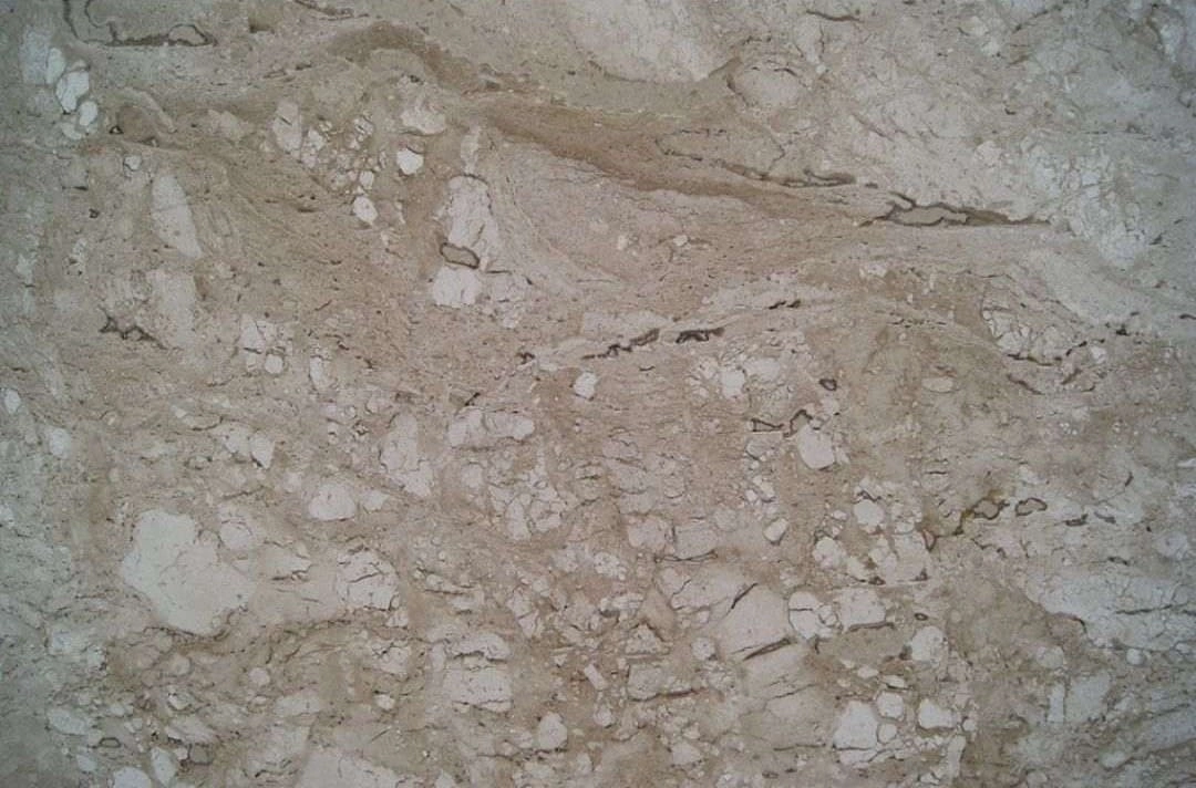 PINE TREE Travertine Polished Slab