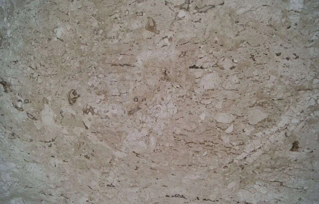 PINE TREE Travertine Polished Slab