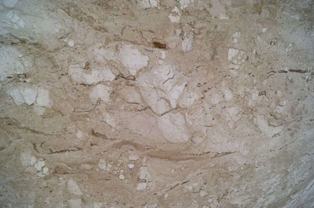 PINE TREE Travertine Polished Slab