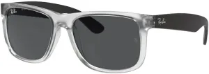 Ray-Ban RB4165 JUSTIN Sunglasses For Men For Women  BUNDLE with Designer iWear Eyewear Care Kit