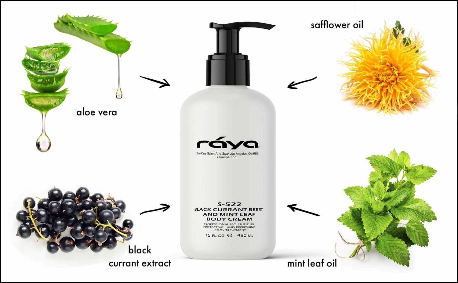 Raya Black Currant Berry and Mint Leaf Body Cream 16 oz (S-522) | Natural & Moisturizing Body Cream | Hydrates, Calms, and Prevents Dehydration and Irritation