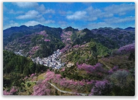Selling Flowers Fishing Village Plum Blossoms Begin to Bloom Jigsaw Puzzles for Adults -DIY Home Decor Educational Toy Difficult Puzzle Family Game Gifts for Teenagers 1000 Piece