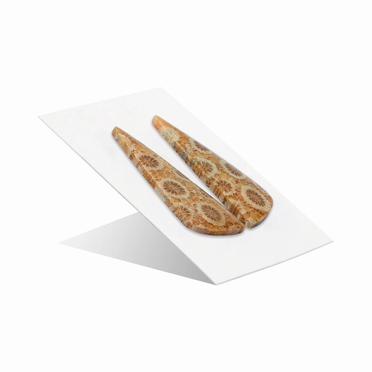 Starborn Fossil Coral Freeform Cabochon 30x12 mm - 1 Pair
