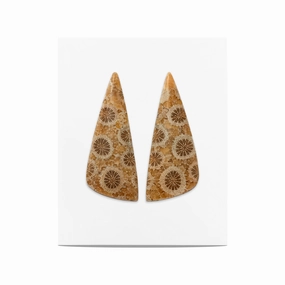Starborn Fossil Coral Freeform Cabochon 30x12 mm - 1 Pair