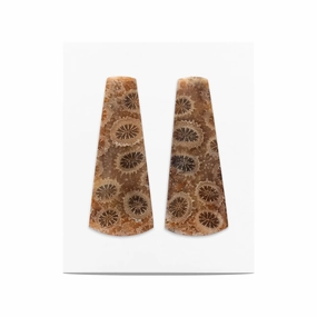 Starborn Fossil Coral Freeform Cabochon 32x13 mm - 1 Pair