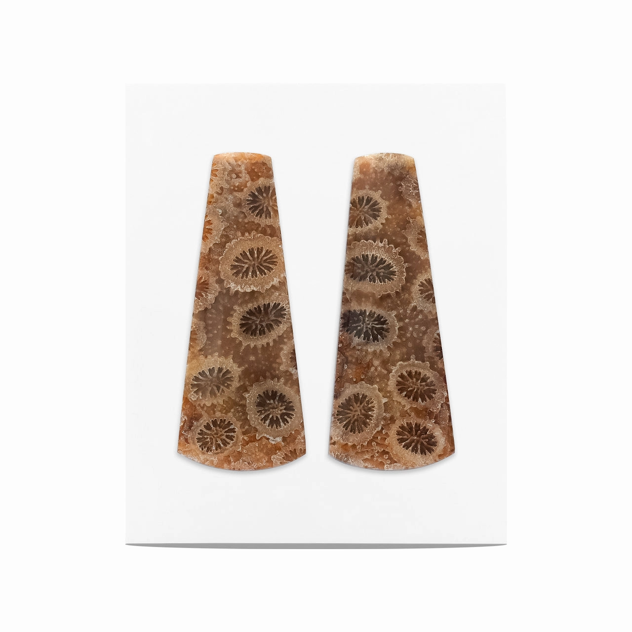 Starborn Fossil Coral Freeform Cabochon 32x13 mm - 1 Pair