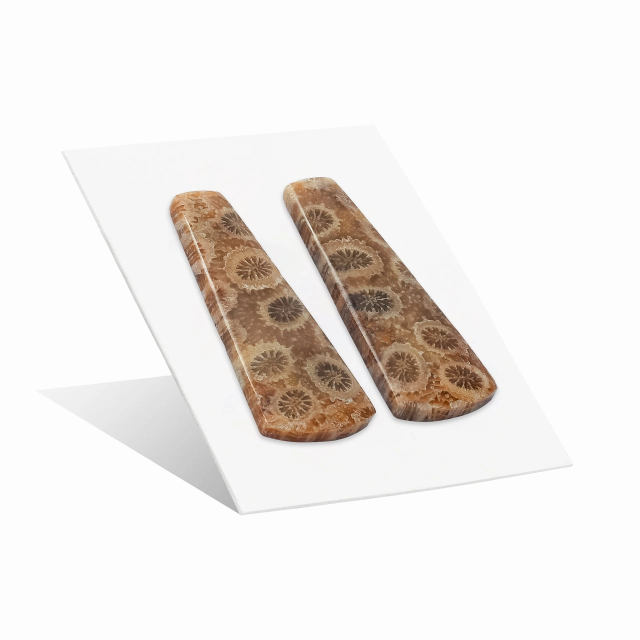 Starborn Fossil Coral Freeform Cabochon 32x13 mm - 1 Pair